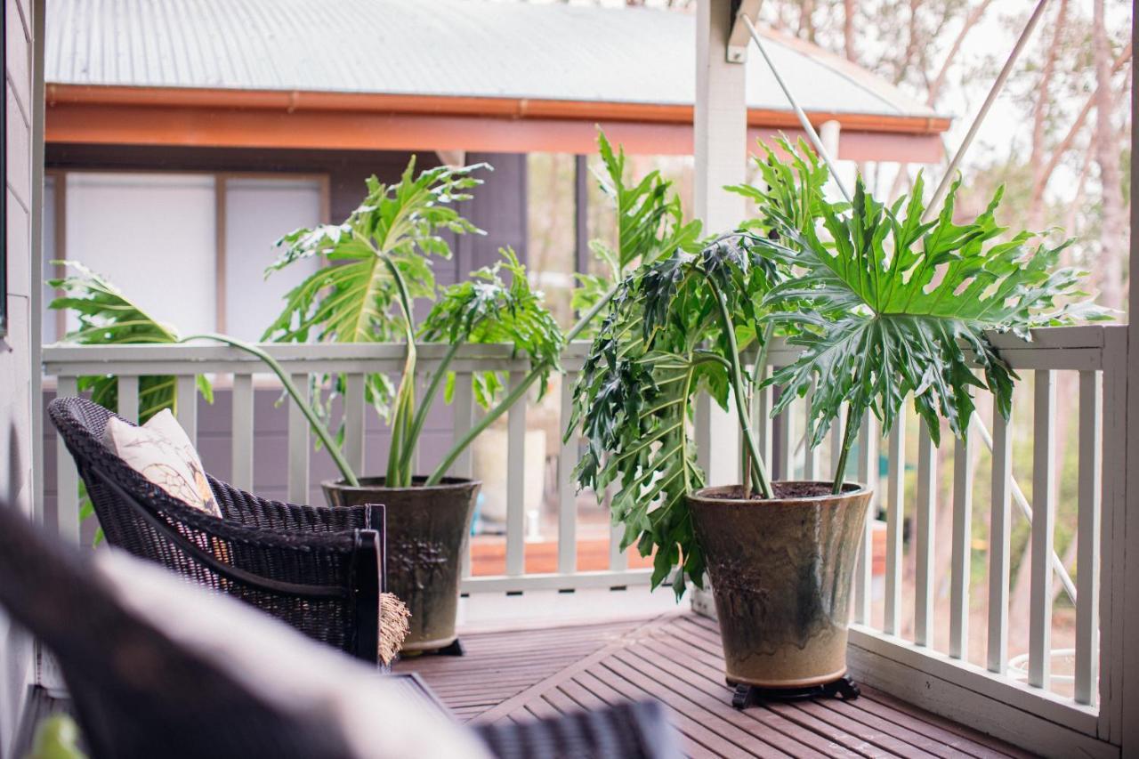 Snooty Fox Bed &Breakfast Bed & Breakfast Hazelbrook Exterior foto